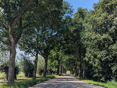 Rondehoep - Photo 12