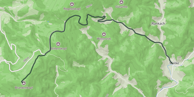 Brandenkopf elevation profile