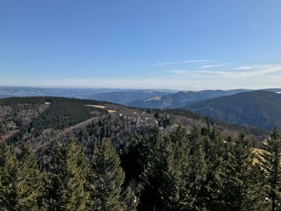 Schauinsland - Photo 2