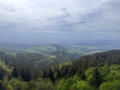 Around the Feldberg - Photo 1