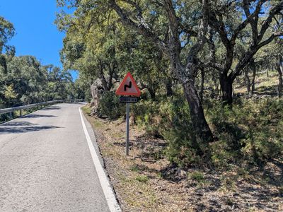 Loop to Ubrique - Photo 4