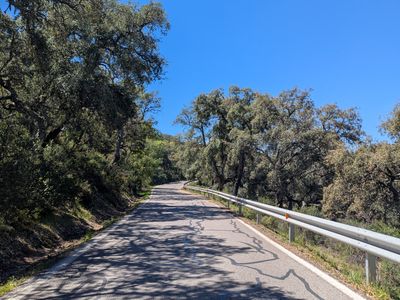 Loop to Ubrique - Photo 7