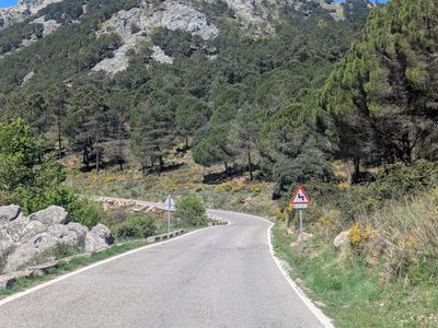Puerto de las Palomas loop from Grazalema - Photo 17