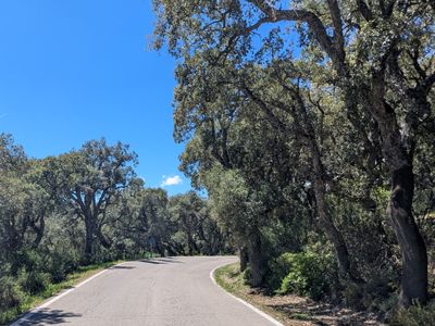 Loop to Ubrique - Photo 1