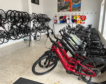 Andalucian Cycling Experience