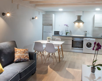 Apartamentos Hondarmendi