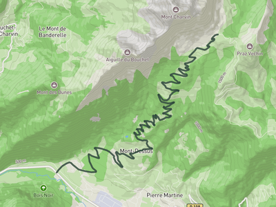Col de l'Arpettaz