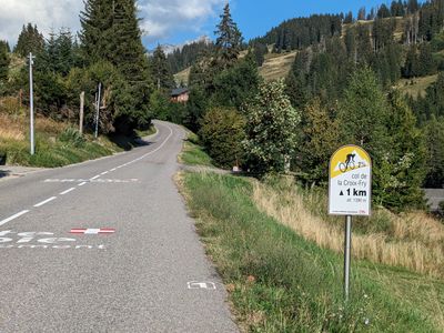 Col de la Croix Fry - Photo 5