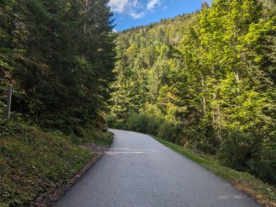 Plateau des Glières - Photo 8