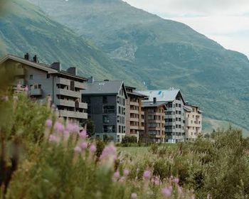 Alpine Apartments