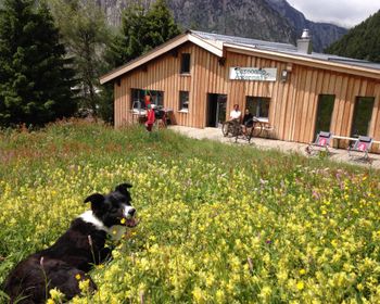 Basecamp Andermatt